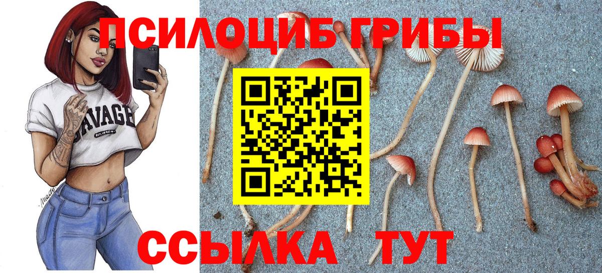 Галлюциногенные грибы ЛСД Еманжелинск